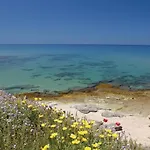 別荘 La Pietraia 1