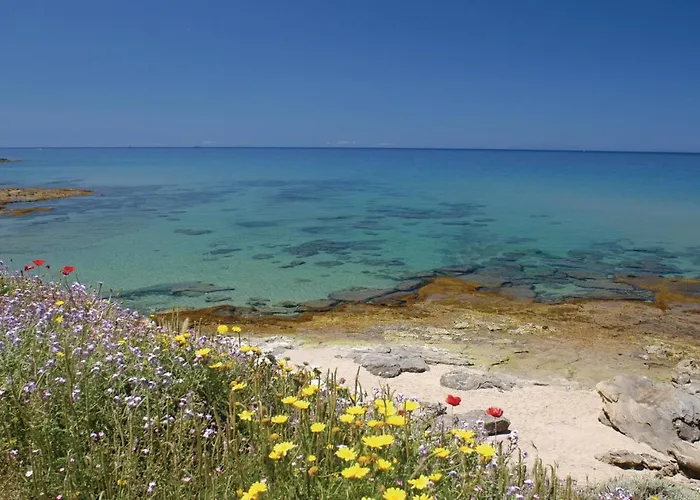 度假居 La Pietraia 1